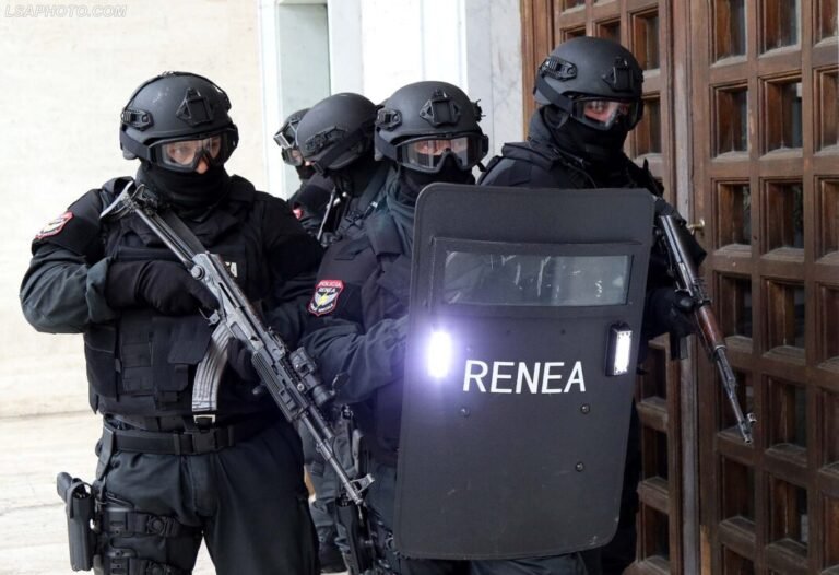 renea1-1068x731 (1)