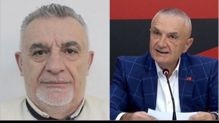 iilir meta vladimir metani