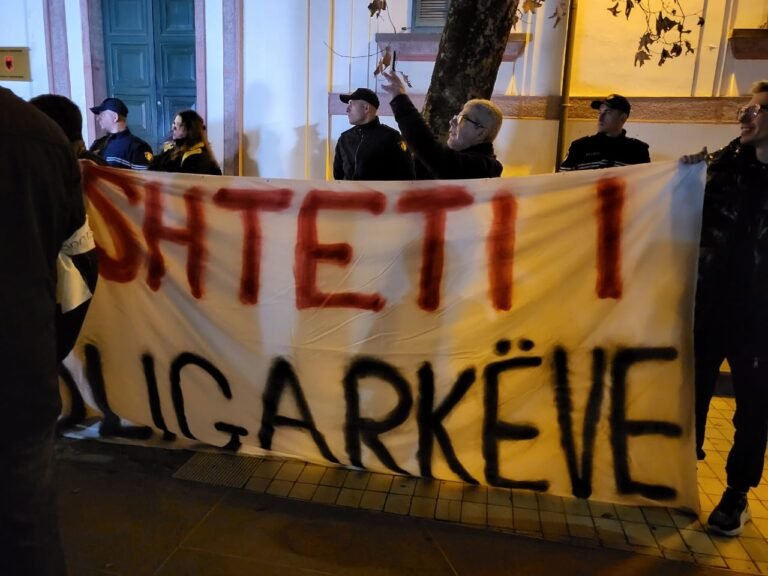 shteti oligarkeve