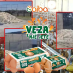 AIBA PULA
