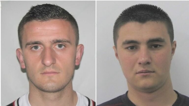 gerald hoxha franci canaj