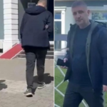 roven zek