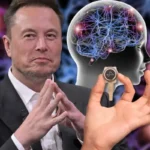 elon