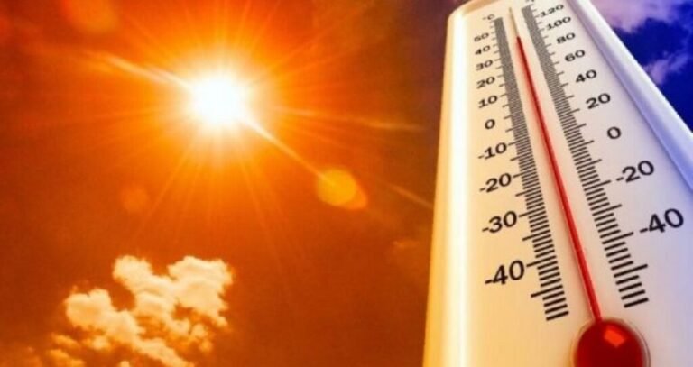 temperatura-te-larta-1024x542-1